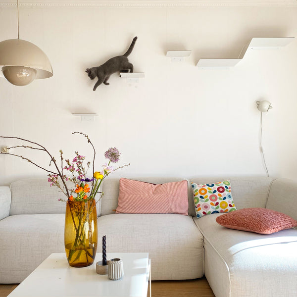 Conseils et astuces pour une cohabitation propre avec ton chat