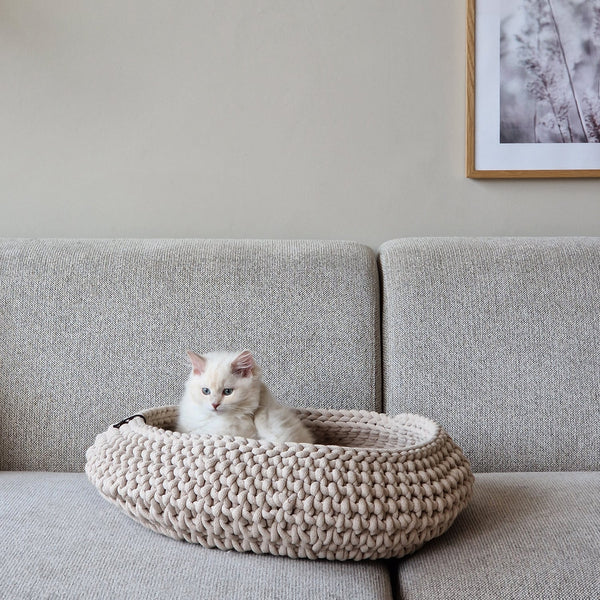 De la naissance à l'âge adulte : La fascinante croissance des chats