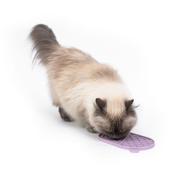 Tapis de léchage pour chat : Bien plus qu'une simple gourmandise