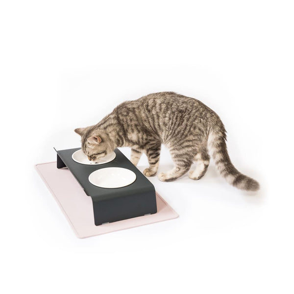 Les hauts et les bas de la vie d'un chat : La gamelle surélevée, une bonne idée ?