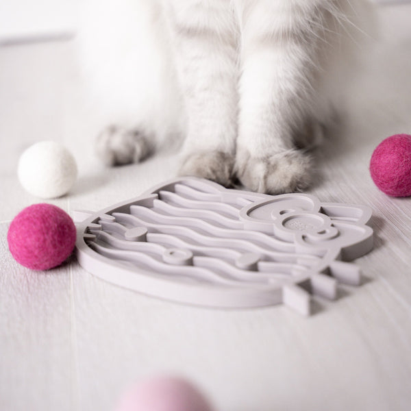 Clickertraining für Katzen – und wie Schleckmatten dabei helfen können