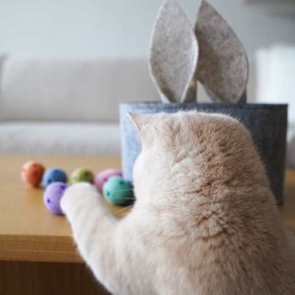 Chats et Pâques : Conseils pour une fête sûre et amusante