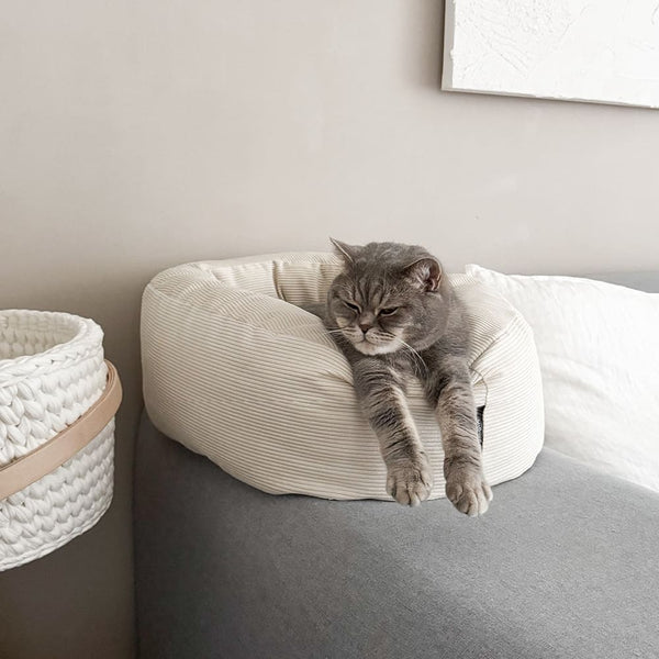 Urlaub mit Katze? Oder lieber ohne? – So planst du richtig