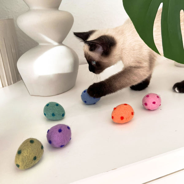 Pâques avec ton chat : comment rendre cette fête encore plus spéciale pour ton compagnon félin ?