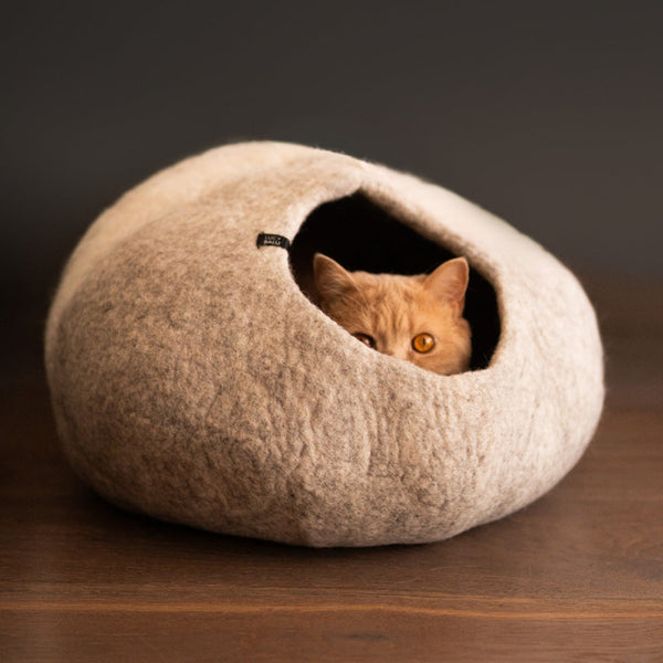 Fêter le Nouvel An avec son chat en toute sérénité