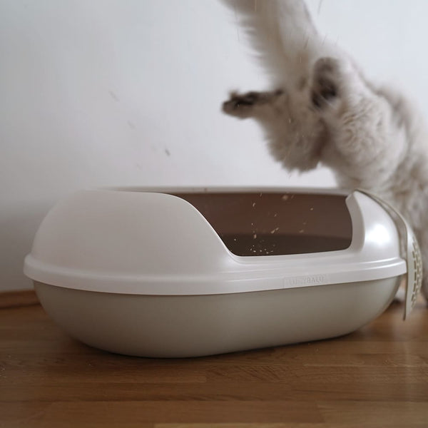 Tout ce qu'il faut savoir sur les litières pour chat