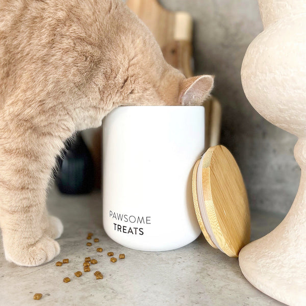 Prépare des friandises maison pour ton chat : Recettes automnales à tester