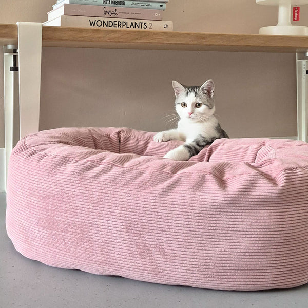 Des prénoms pour chats - Édition Hello Kitty