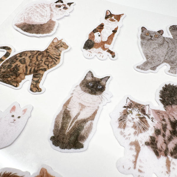 Les 10 races de chats préférées : Un guide pour les amoureux des chats