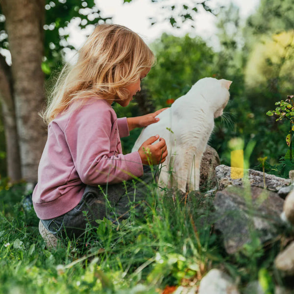 Conseils pour une coexistence harmonieuse entre les enfants et les chats