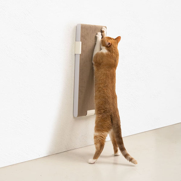 Pourquoi les chats font-ils leurs griffes sur les meubles et comment protéger ton intérieur ?