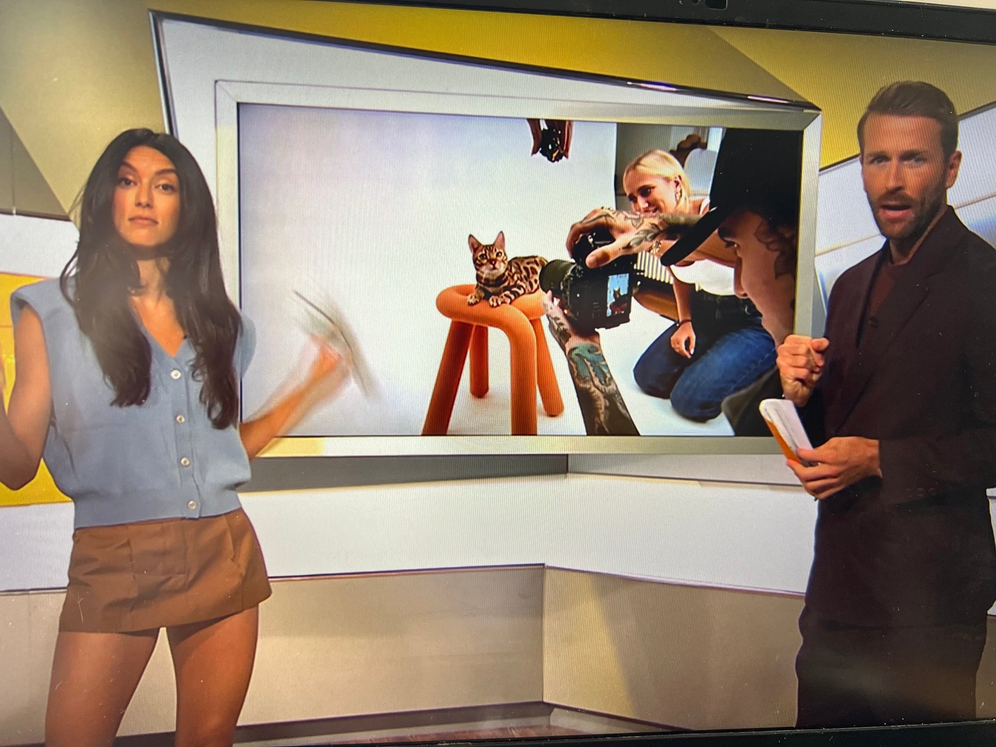 ProSieben taff - Juli 2025