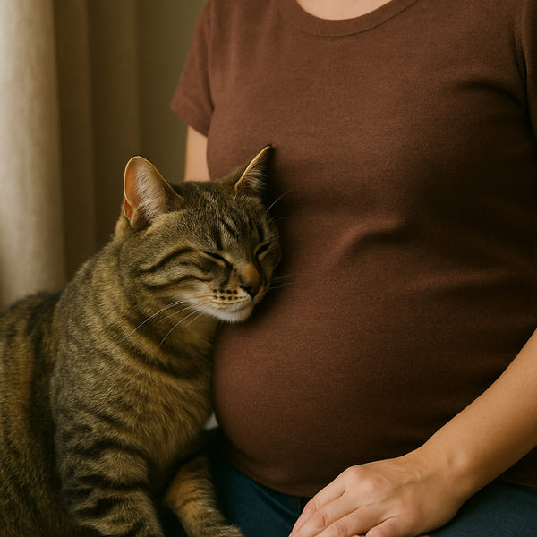 Toxoplasmose et grossesse : Comment te protéger et protéger ton enfant ?