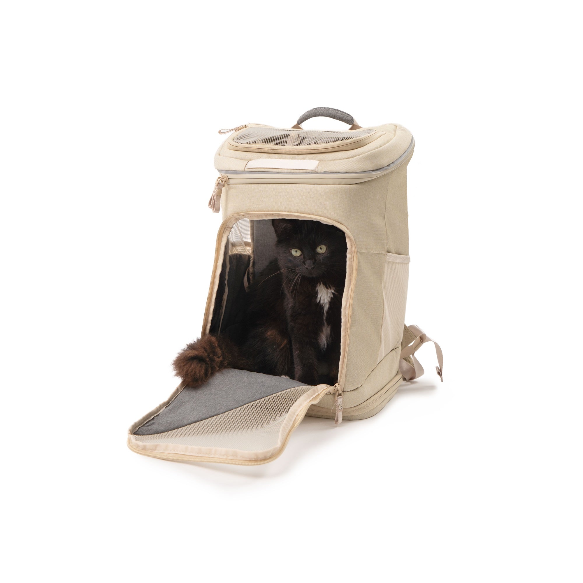 Rucksack für Katzen