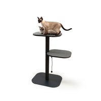 Arbre à chat