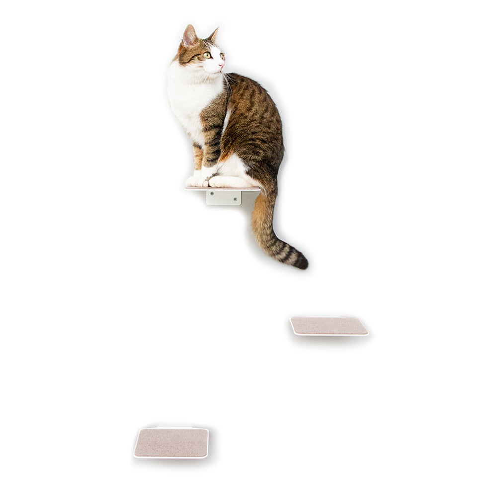 Große Katzenstufen Weiß
