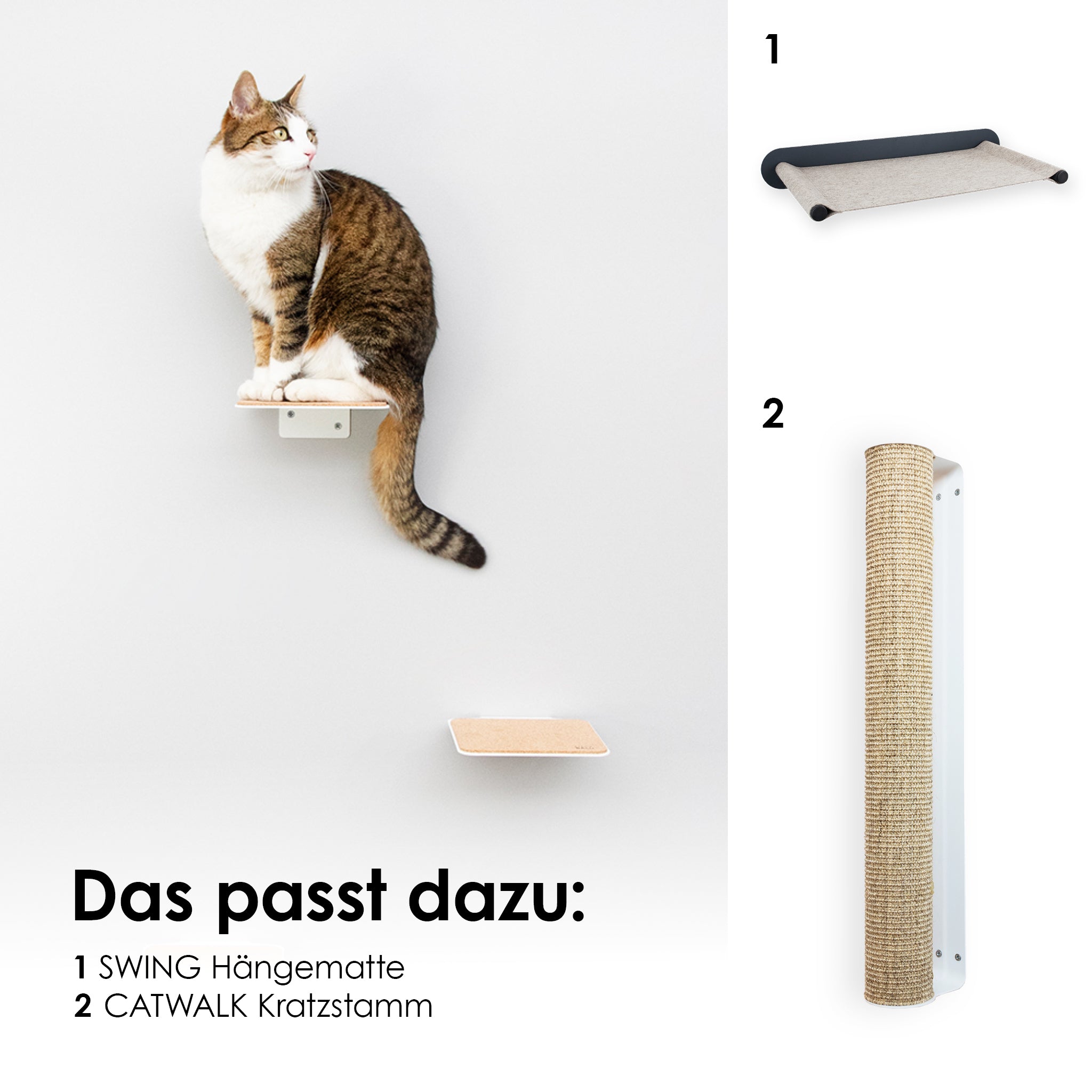 Katzen Kletterwand 
