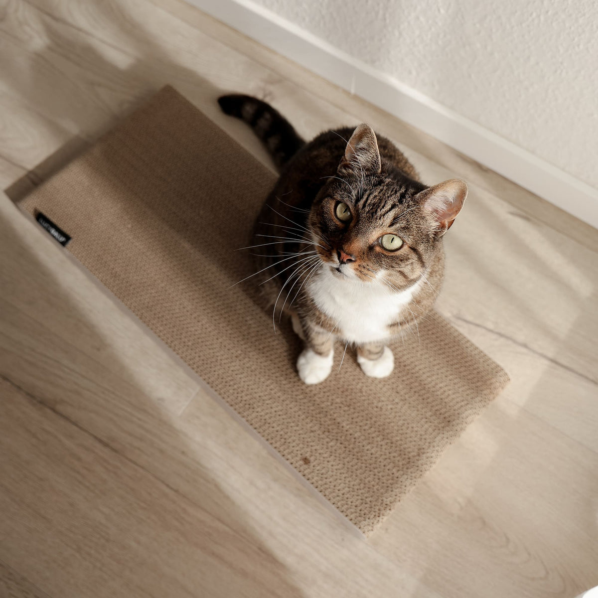 SCRATCHPAD Griffoir en carton