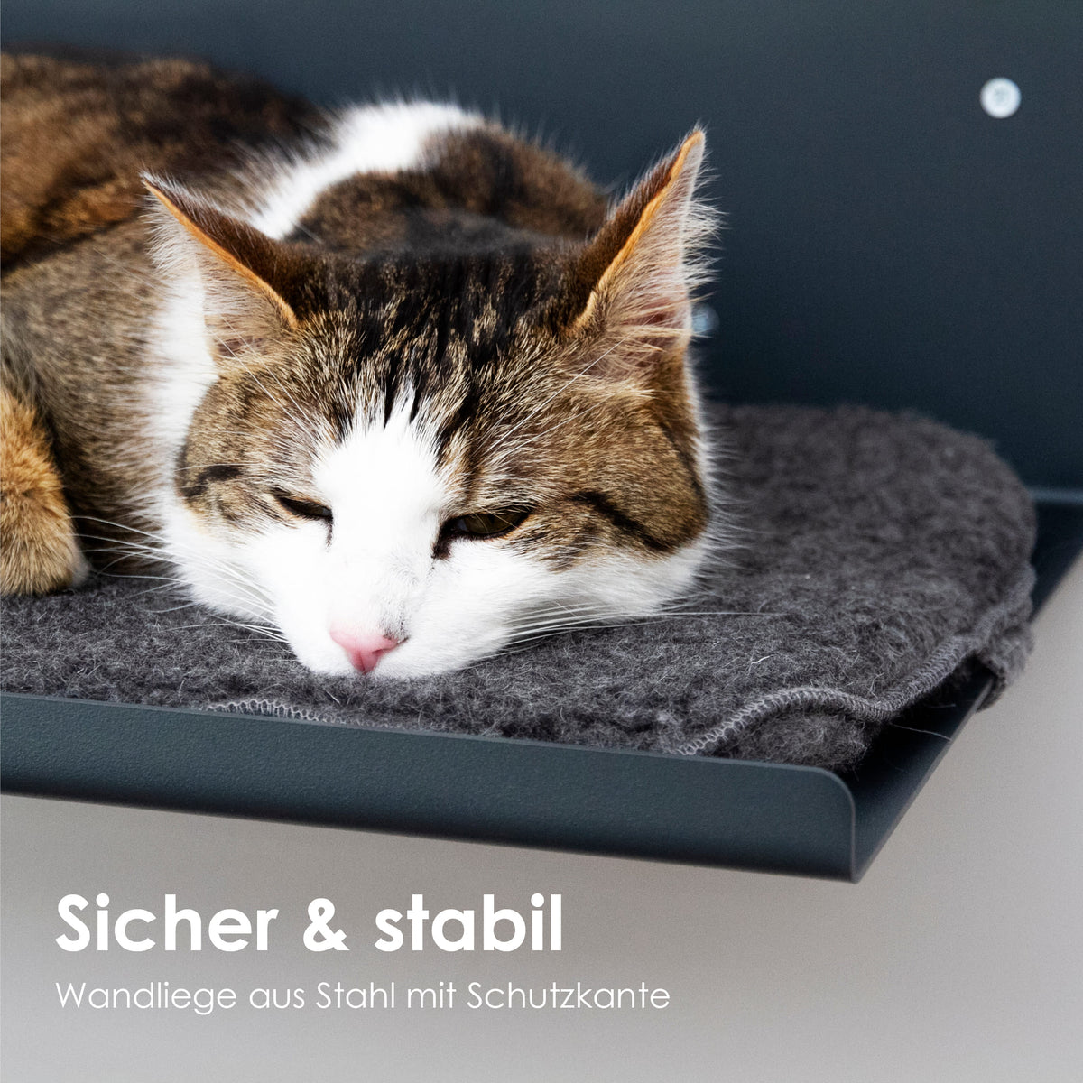 sicheres Katzen Wandbett stabil