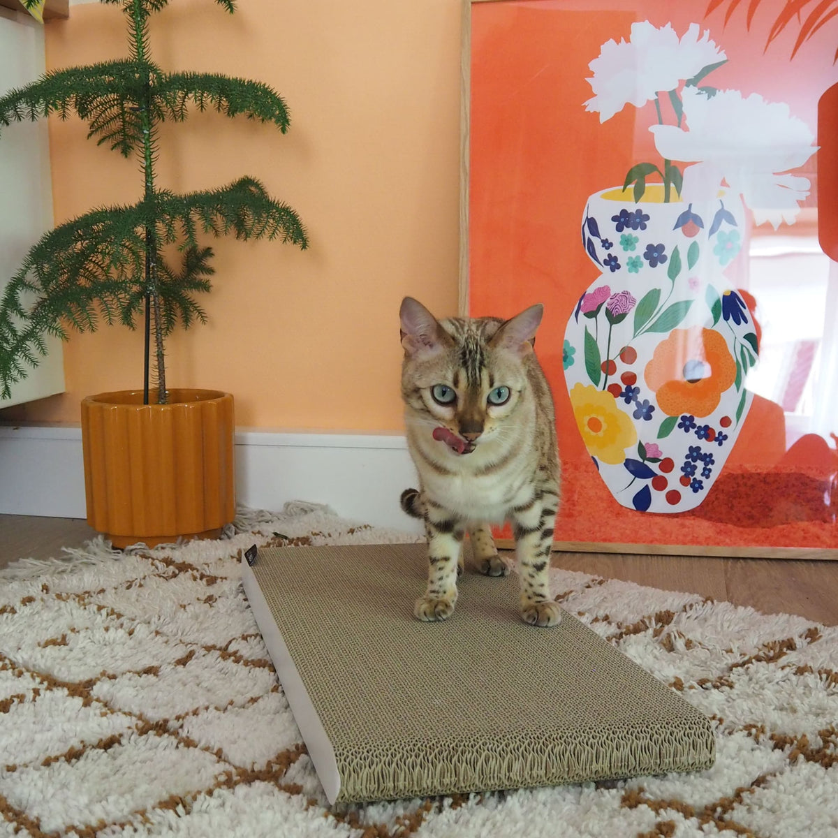 SCRATCHPAD Griffoir en carton