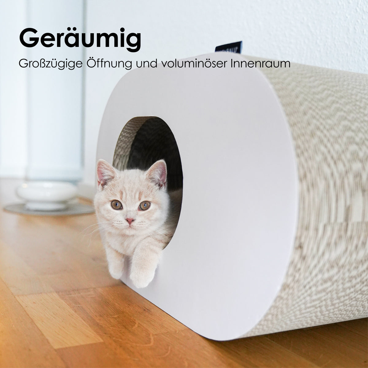 große Höhle für Katzen