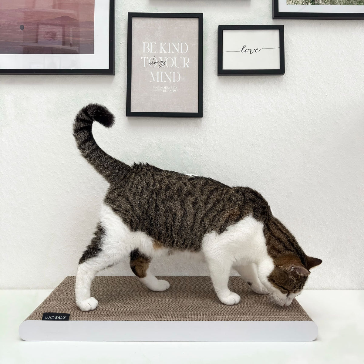 SCRATCHPAD Griffoir en carton