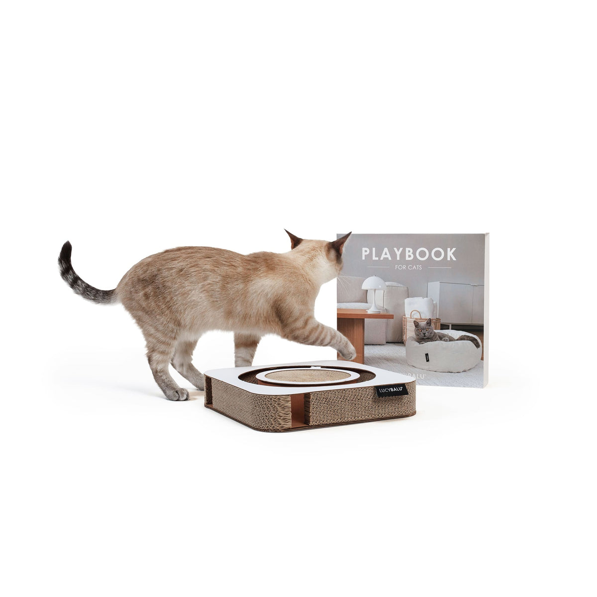 PLAYBOOK Jouet interactif