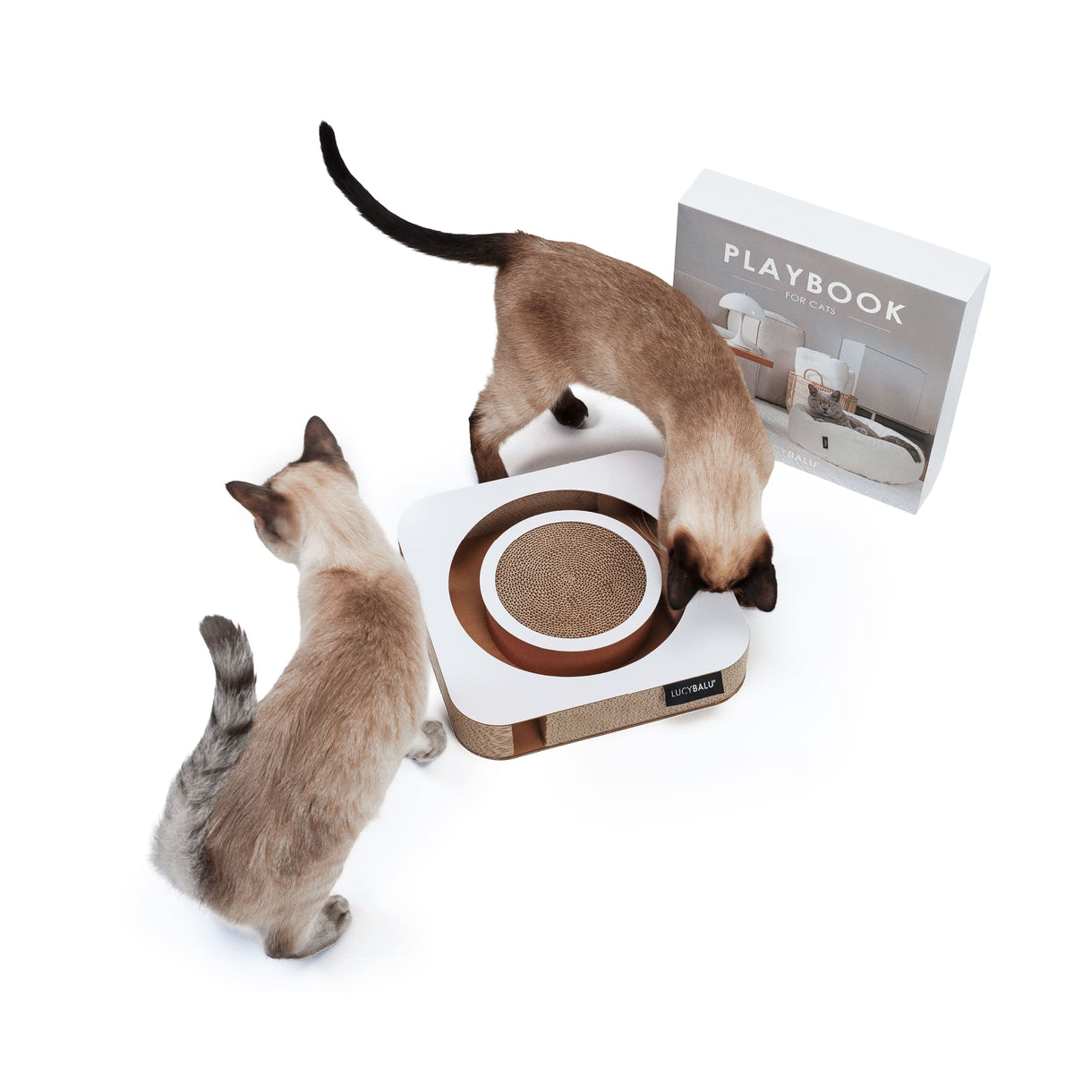 PLAYBOOK Jouet interactif