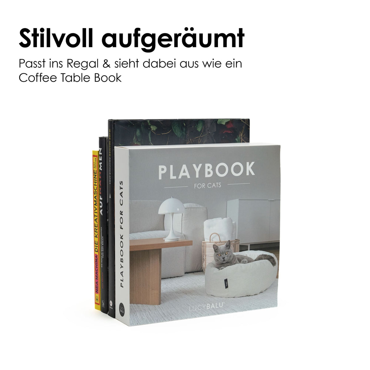PLAYBOOK Jouet interactif