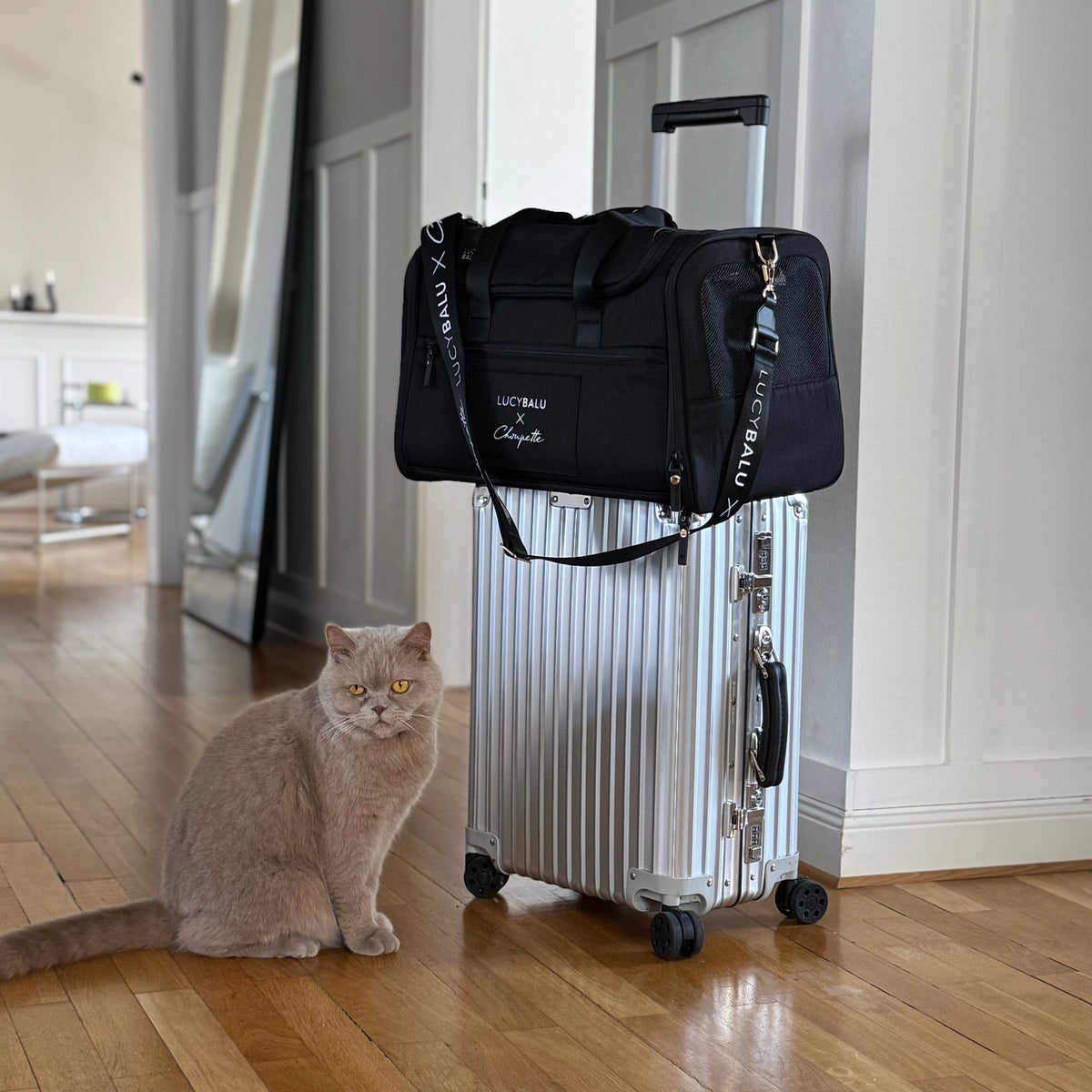 Produit reconditionné : CHECK-IN Sac de transport | Édition Choupette