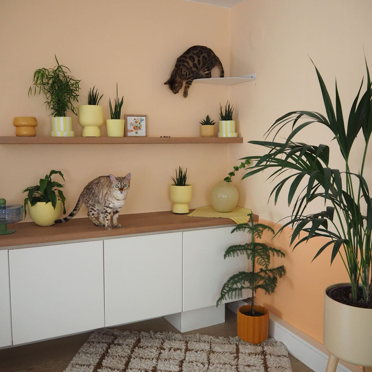 CORNER Banquette de coin murale