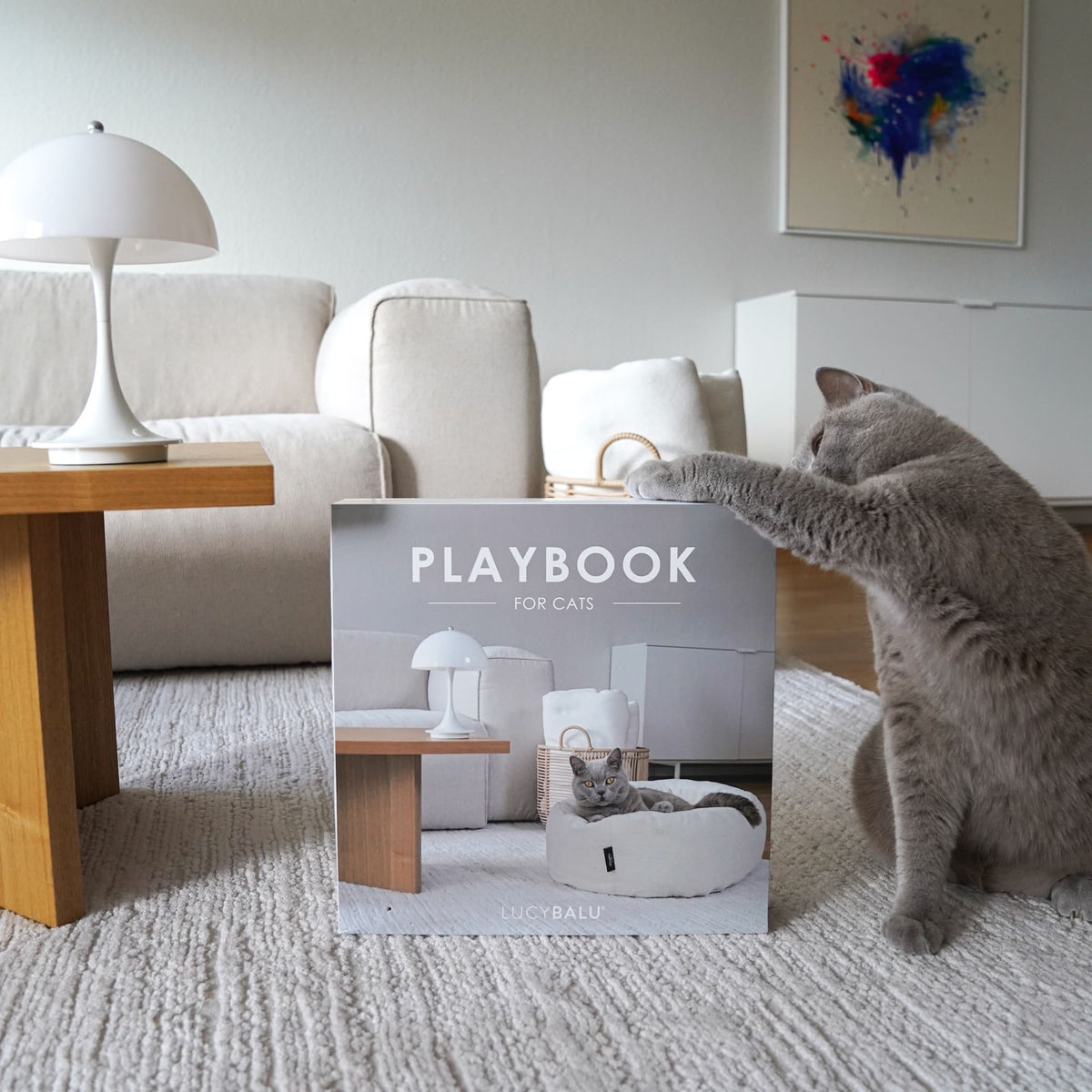 PLAYBOOK Jouet interactif
