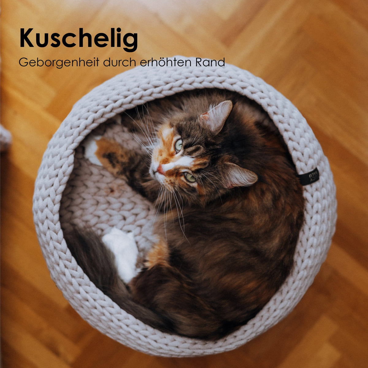 Kuschelbett mit Katze