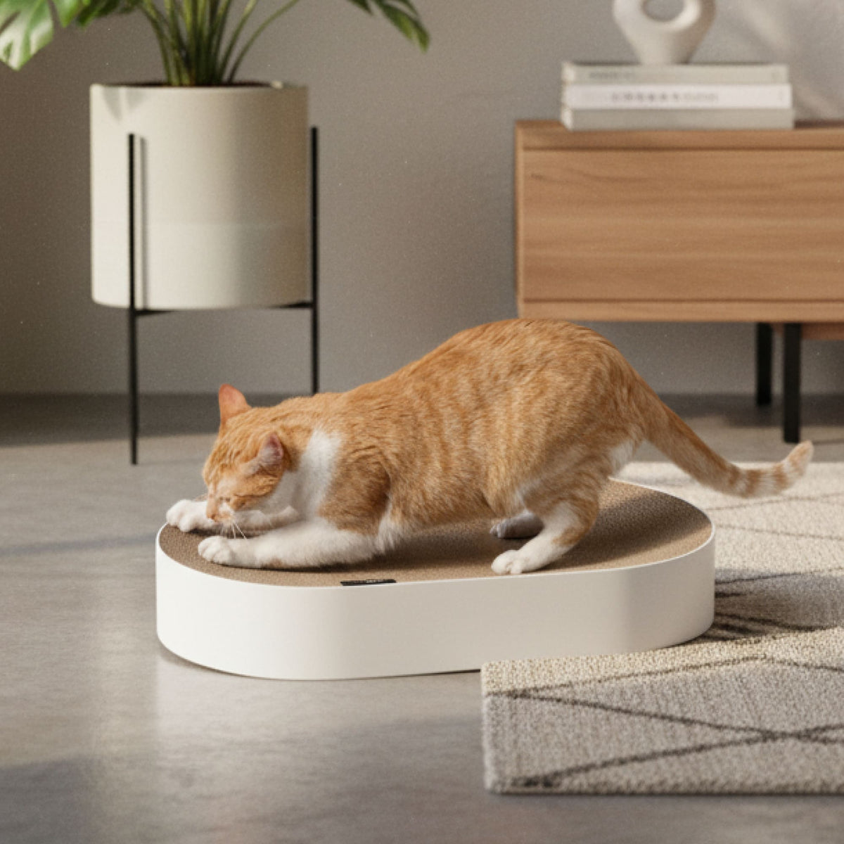 SCRATCHBED - Panier en carton