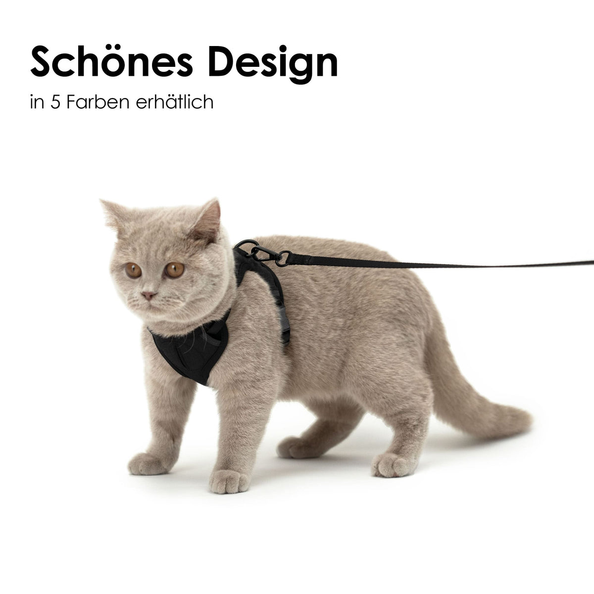 Schönes Katzengeschirr mit Katzen Leine