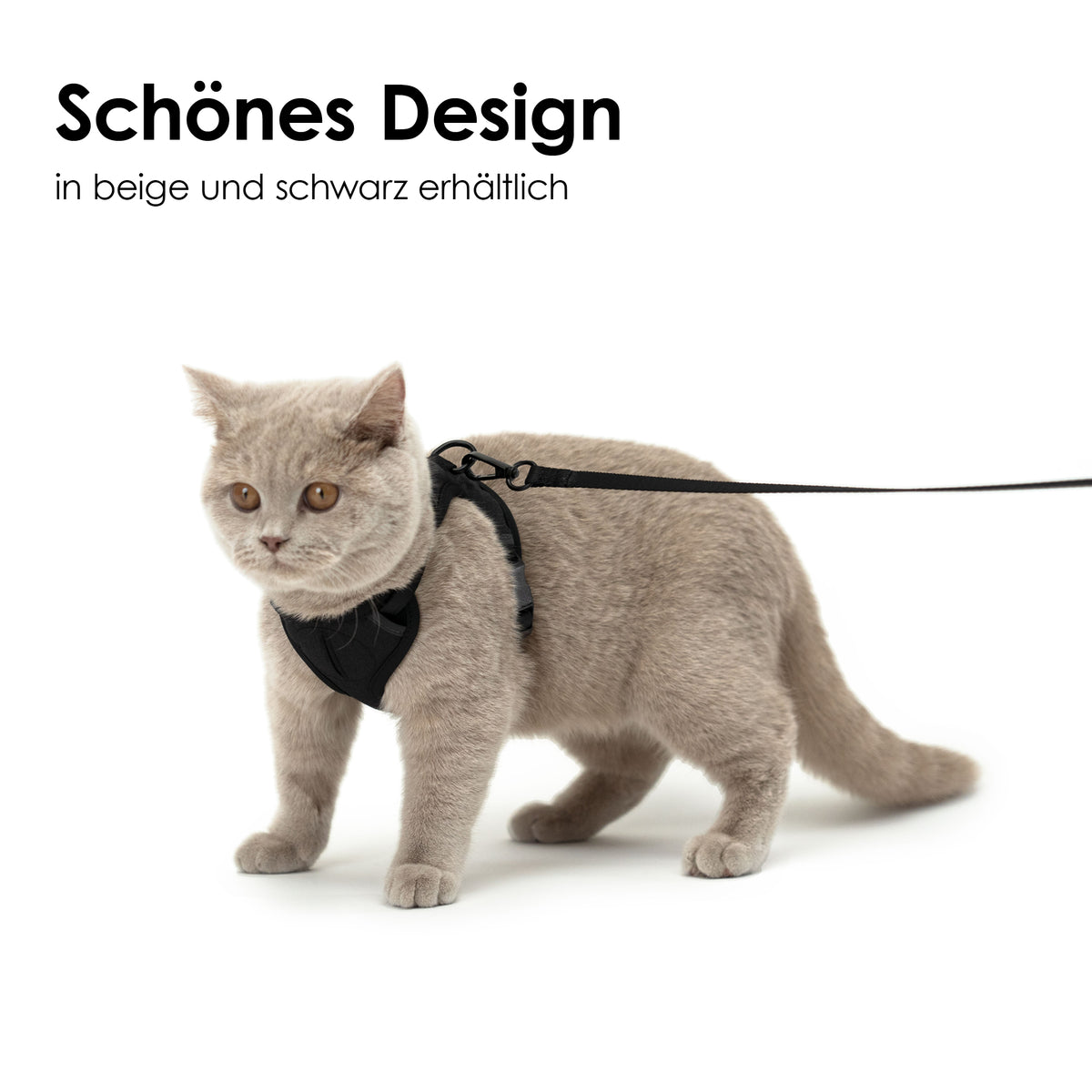 Schönes Katzengeschirr mit Katzen Leine