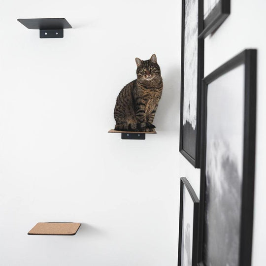 Kletterwand Katze mit Stufe